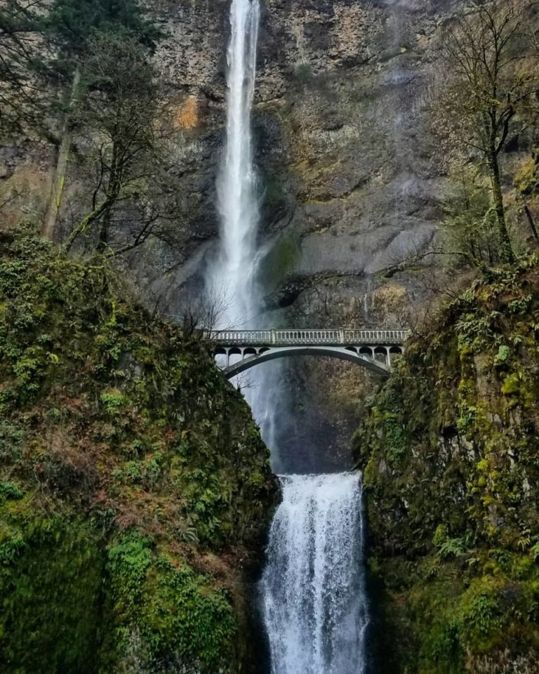 The challenging patient checking out Multnomah Falls in Oregon